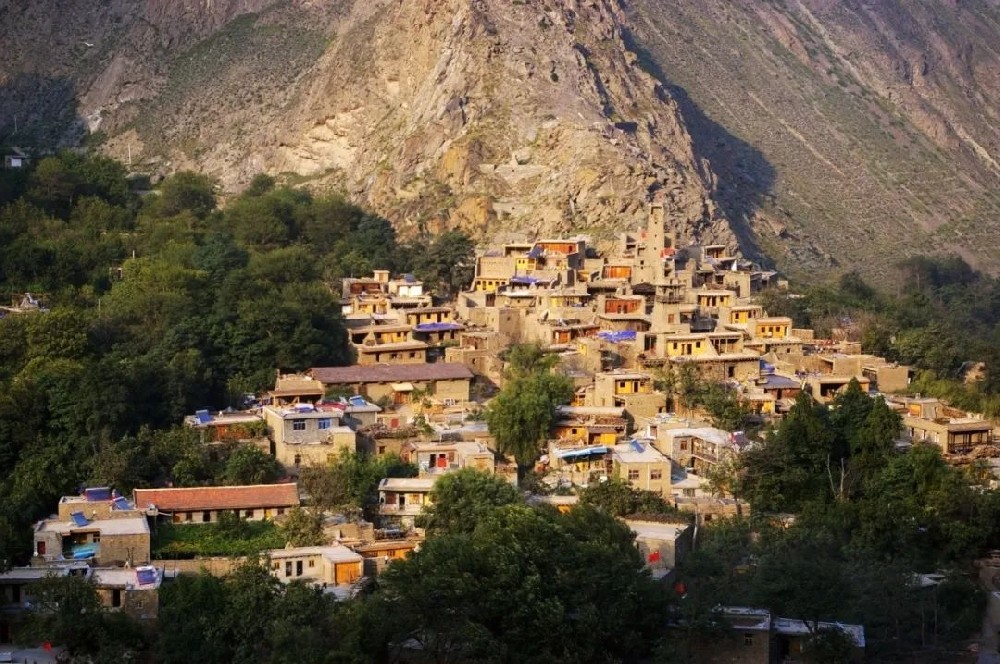 ������ƺǼկ���ɹ���