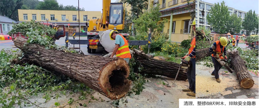 1705634664201042.jpg 6401.jpg